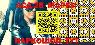 сатива Новокубанск