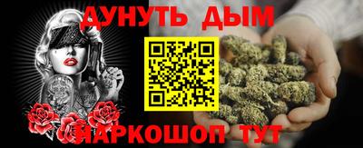 сатива Новокубанск