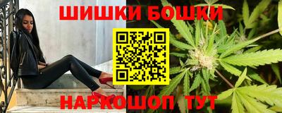 винт Новозыбков