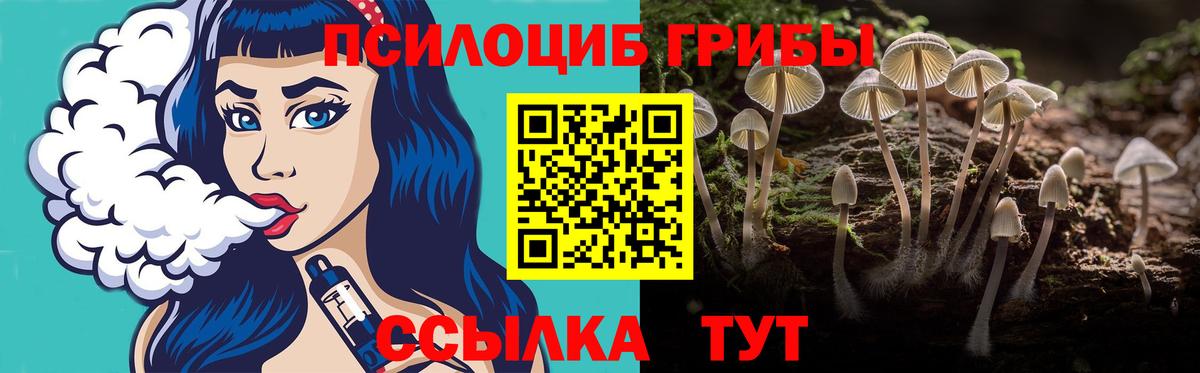 Улан-Удэ  Галлюциногенные грибы Psilocybe  Вход с VPN  Галлюциногенные грибы ЛСД 